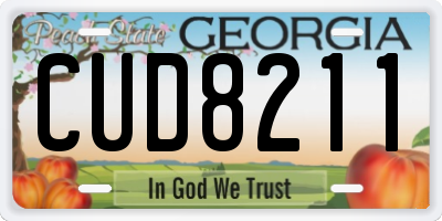 GA license plate CUD8211