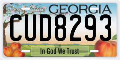 GA license plate CUD8293