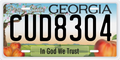 GA license plate CUD8304
