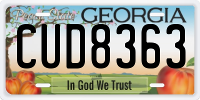 GA license plate CUD8363