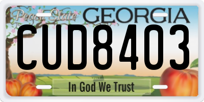 GA license plate CUD8403