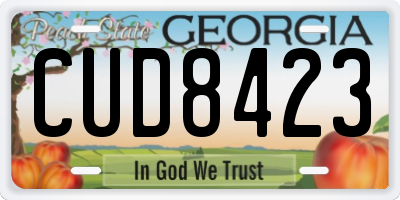 GA license plate CUD8423