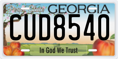 GA license plate CUD8540