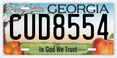 GA license plate CUD8554