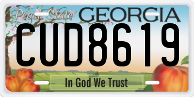 GA license plate CUD8619
