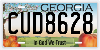 GA license plate CUD8628