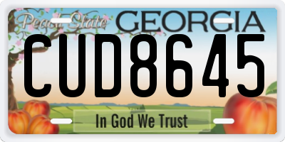 GA license plate CUD8645