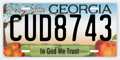 GA license plate CUD8743