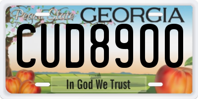 GA license plate CUD8900