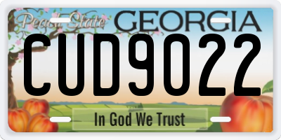GA license plate CUD9022
