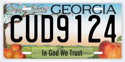 GA license plate CUD9124