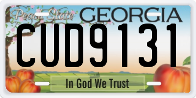 GA license plate CUD9131