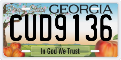 GA license plate CUD9136