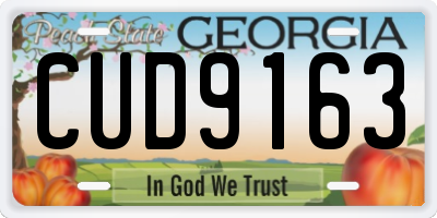 GA license plate CUD9163