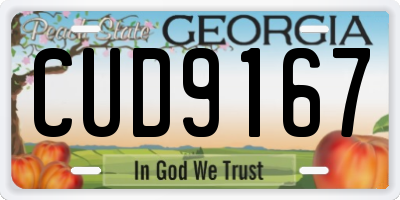 GA license plate CUD9167