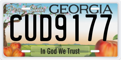 GA license plate CUD9177
