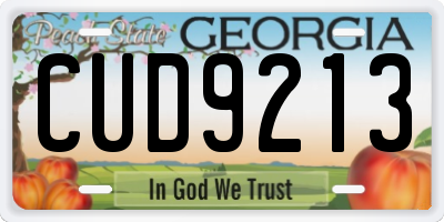 GA license plate CUD9213