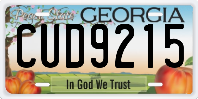 GA license plate CUD9215