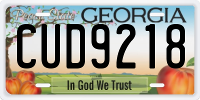 GA license plate CUD9218
