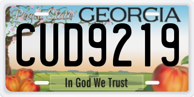 GA license plate CUD9219