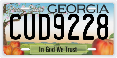 GA license plate CUD9228