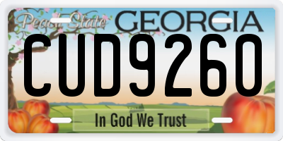 GA license plate CUD9260