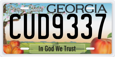 GA license plate CUD9337