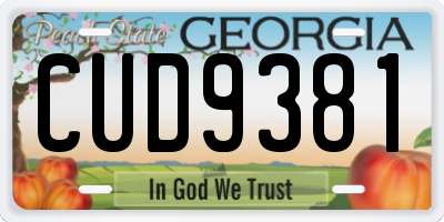 GA license plate CUD9381