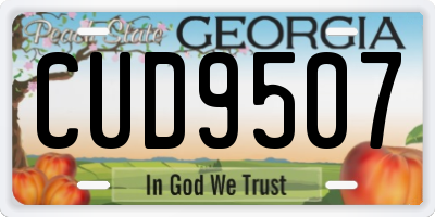 GA license plate CUD9507