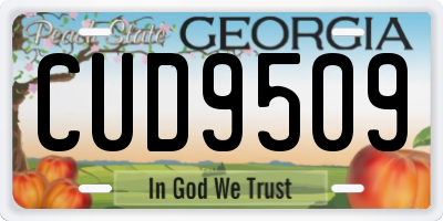 GA license plate CUD9509