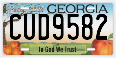 GA license plate CUD9582
