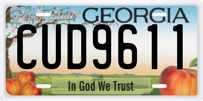 GA license plate CUD9611