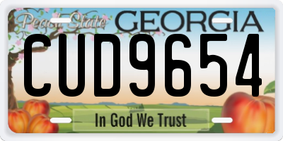 GA license plate CUD9654