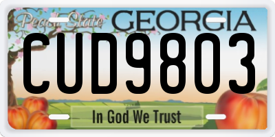 GA license plate CUD9803