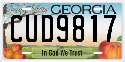GA license plate CUD9817