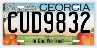 GA license plate CUD9832