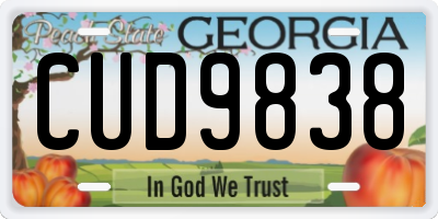 GA license plate CUD9838