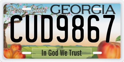 GA license plate CUD9867