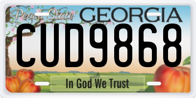 GA license plate CUD9868