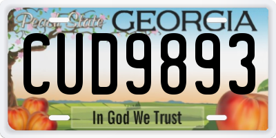 GA license plate CUD9893