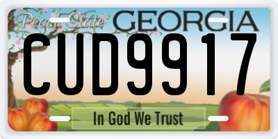 GA license plate CUD9917