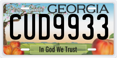 GA license plate CUD9933