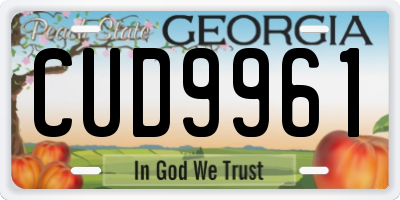 GA license plate CUD9961