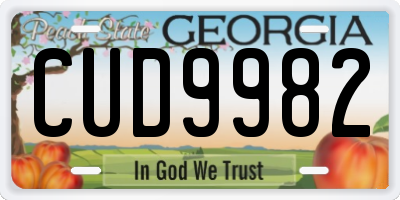 GA license plate CUD9982