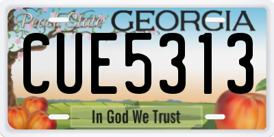 GA license plate CUE5313