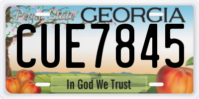 GA license plate CUE7845