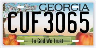 GA license plate CUF3065