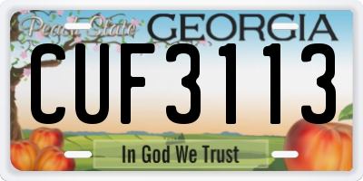 GA license plate CUF3113