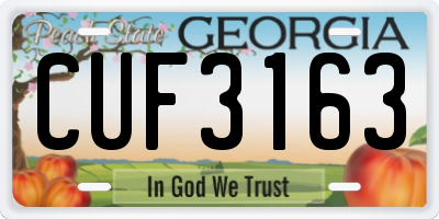 GA license plate CUF3163