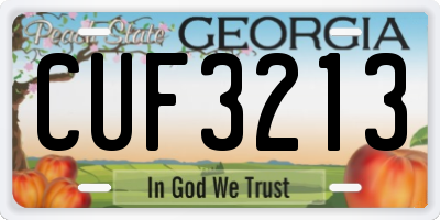 GA license plate CUF3213
